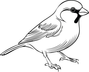 sketch of a bird