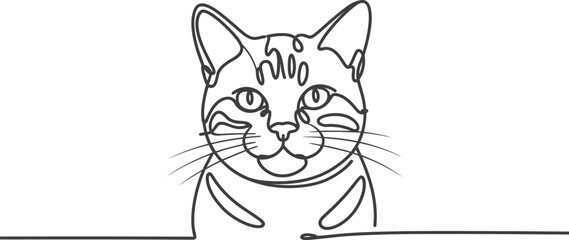 Obraz premium Cat drawing line art feline pet animal domestic kitten minimalist design simple