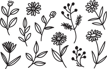 Hand Drawn Botanical Doodle Flowers Leaves Branches and Floral Line Art Illustration