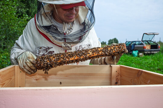 A beekeeper works with his bees at the beehive.