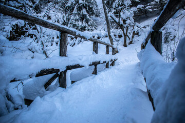 winter path over a bridge on a mountain trail