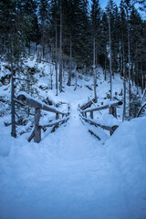 winter path over a bridge on a mountain trail
