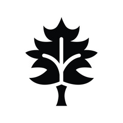 maple leaf glyph icon illustration vector graphic.eps