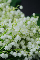 Fresh bouquet of lily of the valley with green leaves on black background