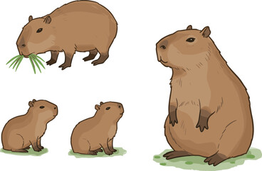 Capybara cartoon vector, cute animal illustration, sitting pose, eating grass, wildlife rodent art, nature character design, relaxed posture drawing