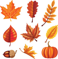 set of autumn leaves