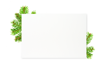 Christmas greeting card template with green fir branch and natural white paper background. Holiday mockup with copy space seasonal greetings, invitations, festive decoration concepts. Design element
