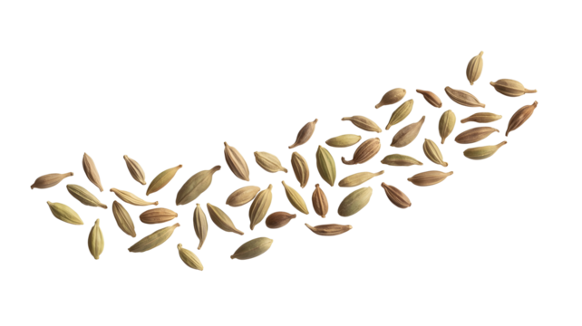 A collection of dried cardamom pods arranged in a curved line on a transparent background