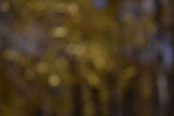 Blurred background of autumn foliage on trees