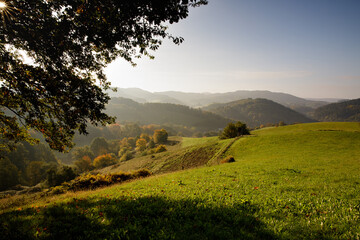 autumn morning in the Odenwald