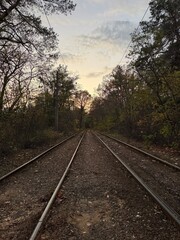 Fototapeta premium Tram tracks lead into a tranquil sunset through a quiet forest in October