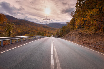 Autumn road in the forest, against the background of an autumn forest, trees with autumn leaves