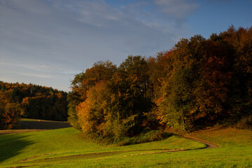 autumn morning in the Odenwald