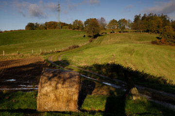 autumn morning in the Odenwald