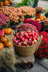 Autumn harvest display of mums, pumpkins, and fresh red apples in a basket