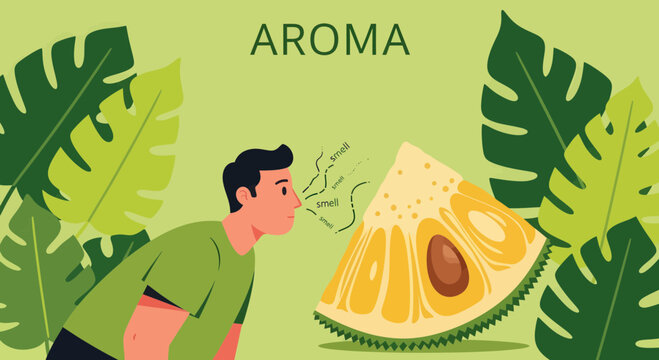 Illustration Of A Person Appreciating The Scent Of A Tropical Fruit, Aroma Concept