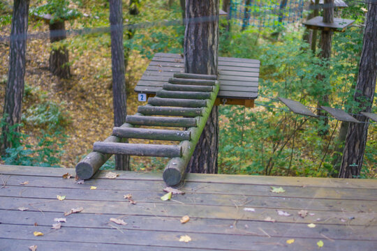 wooden platform and simple log ladder leading up a tree in a forest adventure park, close-up of a construction element of a high ropes course, concept of challenge, pathway, readiness