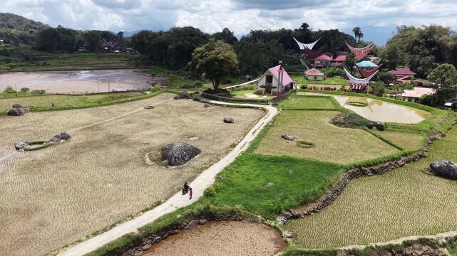 Aerial view of rice terraces near Rantepao, Tana Toraja, Indonesia, with lush greenery, water-filled paddies, and scattered rocks.	