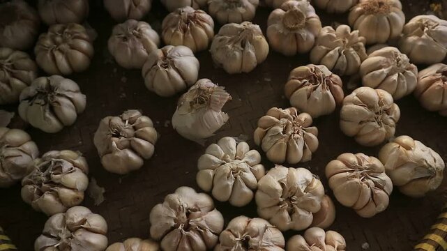 Fresh garlic for cooking and health at local market