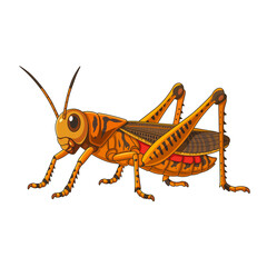 Chibi Grasshoper-06 for Farm Animal Set