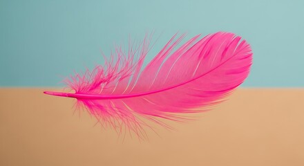A vibrant pink feather rests diagonally against a two-toned background of pastel blue and beige, creating a minimalist and colorful composition.
