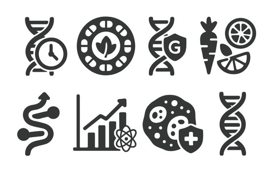 Nutrigenomics and Aging Icons. Solid style icons of nutrigenomics and aging: DNA + clock icon, anti-aging nutrient ring, longevity