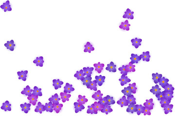 Purple crocus spring flowers vector illustration. Saffron flowers crocus blossom spring vector. Easter greeting card background saffron floral design. Religious holiday banner backdrop.