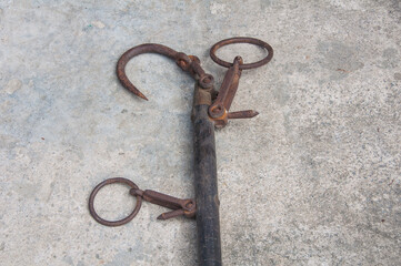 Daching Pig Weighing Scale. The conventional way to weigh pig