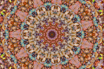 Rosette