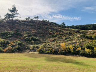 A scenic view of a freshly planted green field with young crops growing under the spring sunlight, surrounded by nature. In the background, a majestic mountain rises, creating a peaceful rural atmosph