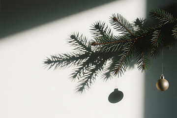 Minimalist Pine Branch Casting a Soft Shadow on a White Surface, Elegant Nature Concept for Design and Wellness