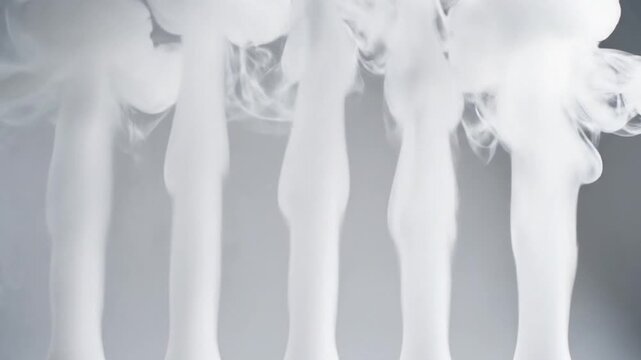Dynamic Abstract White Forms: Soft Organic Shapes Emerge and Pulsate on a Minimalist Grey Background