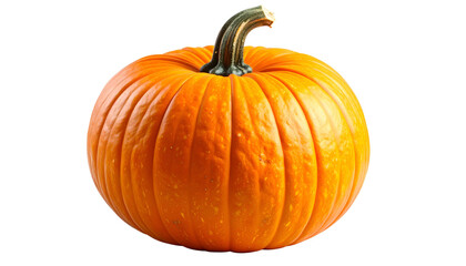 Round, ribbed orange pumpkin with a stem against a black background