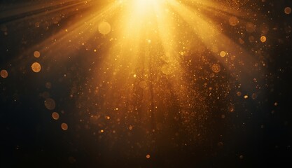 따듯한 빛내림 황금 조명