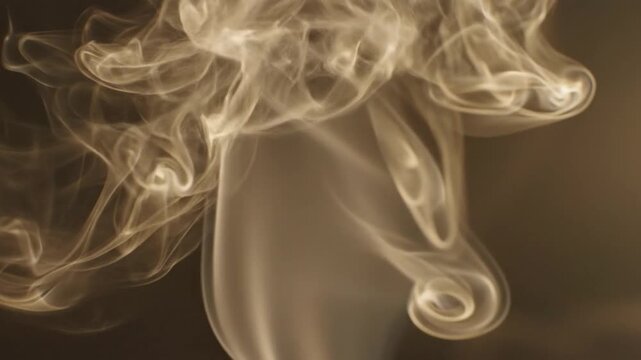 Abstract Slow Motion of Delicate Smoke Curls and Swirls Floating Gracefully on a Dark Background.