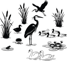 Obraz premium Collection of wetland birds and plants isolated on white background