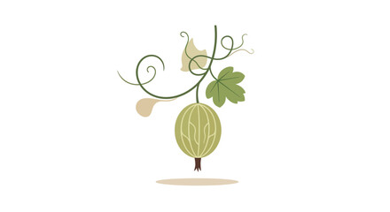 Minimalist Illustration of a Single Gooseberry Fruit and Foliage Against a White Background