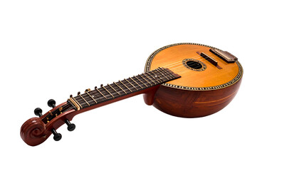 Round-bodied stringed instrument with fretboard on black background
