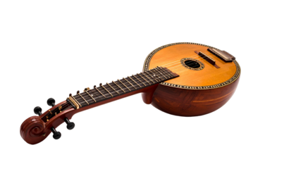 Round-bodied stringed instrument with fretboard on black background