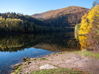 Autumn forest reflected in the calm water of Ružín reservoir near Margecany, Slovakia. Colorful fall trees along the lakeshore under clear blue sky.