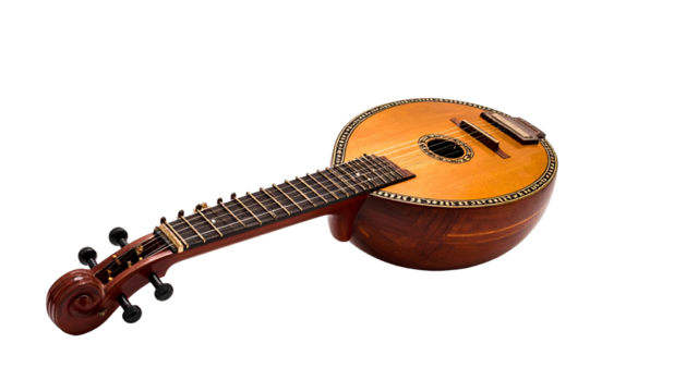 Round-bodied stringed instrument with fretboard on black background