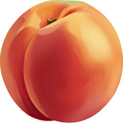 Realistic Nectarine Vector Icon with Bright Highlights