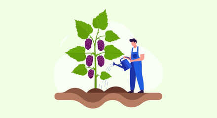 Nurturing Growth: A Gardener Watering the Grapes in an Orchard Environment Scene