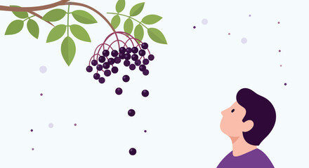 Observing Nature: A Person Looking Up at Dark Berries in a Minimalist Illustration
