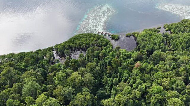 Aerial view of a vibrant blue lagoon surrounded by coral reefs and dense coastal jungle in Raja Ampat, Indonesia.	
