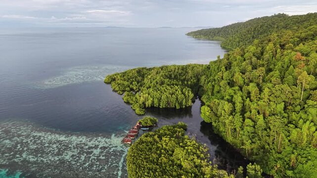 Aerial view of a vibrant blue lagoon surrounded by coral reefs and dense coastal jungle in Raja Ampat, Indonesia.	