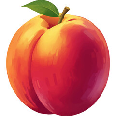 Juicy Summer Nectarine Illustration with Bright Color and Depth