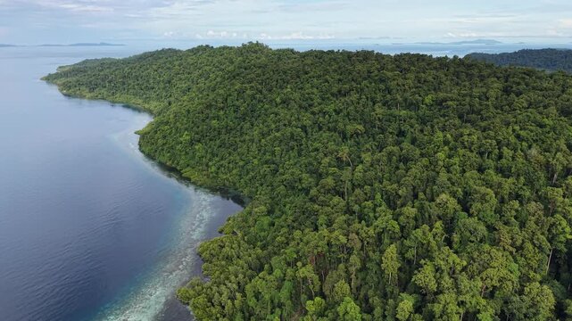 Aerial view of a vibrant blue lagoon surrounded by coral reefs and dense coastal jungle in Raja Ampat, Indonesia.	