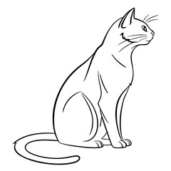 black cat vector illustration