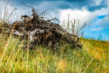 Nat&uuml;rliches Insektenhotel mit Holz, Insektenwohnung, Holzhaufen f&uuml;r Insekten, nat&uuml;rlicher Insektenschutz